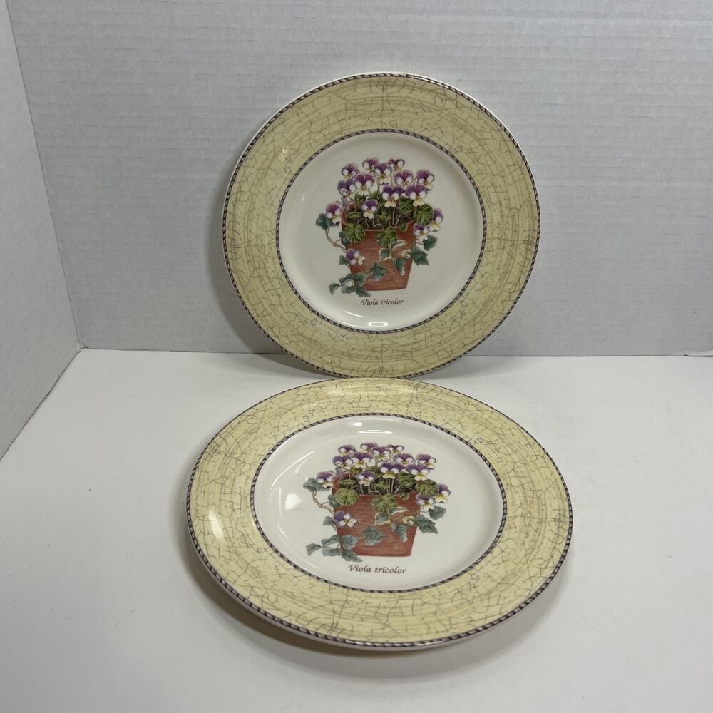 WEDGWOOD Sarah’s Garden 8" Salad Plates Yellow Queen’s Ware ENGLAND-VIOLAS Qty 2